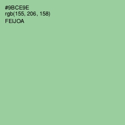 #9BCE9E - Feijoa Color Image