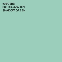 #9BCEBB - Shadow Green Color Image