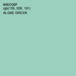 #9BD0BF - Algae Green Color Image
