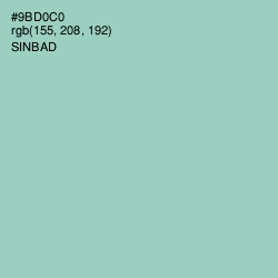 #9BD0C0 - Sinbad Color Image