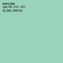 #9BD2BB - Algae Green Color Image