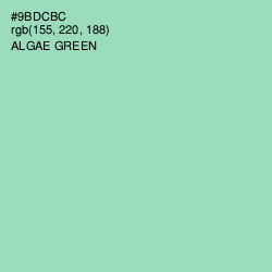 #9BDCBC - Algae Green Color Image