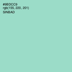 #9BDCC9 - Sinbad Color Image