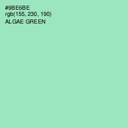 #9BE6BE - Algae Green Color Image