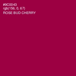 #9C0043 - Rose Bud Cherry Color Image