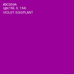 #9C009A - Violet Eggplant Color Image