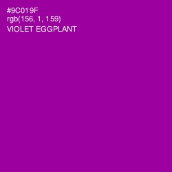 #9C019F - Violet Eggplant Color Image