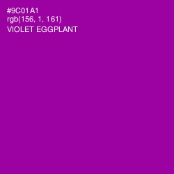 #9C01A1 - Violet Eggplant Color Image