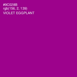 #9C028B - Violet Eggplant Color Image