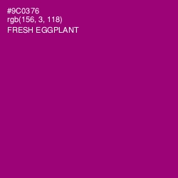 #9C0376 - Fresh Eggplant Color Image