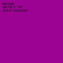 #9C0392 - Violet Eggplant Color Image