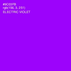 #9C03FB - Electric Violet Color Image