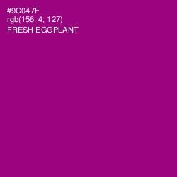 #9C047F - Fresh Eggplant Color Image