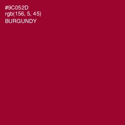 #9C052D - Burgundy Color Image