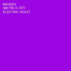 #9C06E3 - Electric Violet Color Image