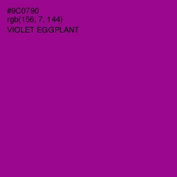 #9C0790 - Violet Eggplant Color Image