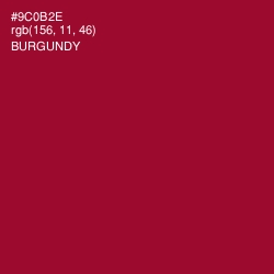 #9C0B2E - Burgundy Color Image