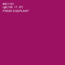 #9C1161 - Fresh Eggplant Color Image