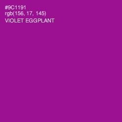 #9C1191 - Violet Eggplant Color Image