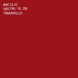 #9C131C - Tamarillo Color Image