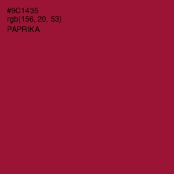 #9C1435 - Paprika Color Image