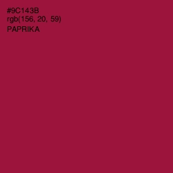 #9C143B - Paprika Color Image