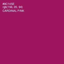 #9C145E - Cardinal Pink Color Image