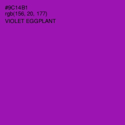 #9C14B1 - Violet Eggplant Color Image