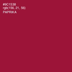 #9C1538 - Paprika Color Image
