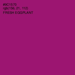 #9C1570 - Fresh Eggplant Color Image