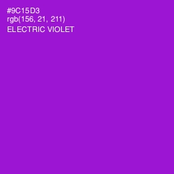 #9C15D3 - Electric Violet Color Image