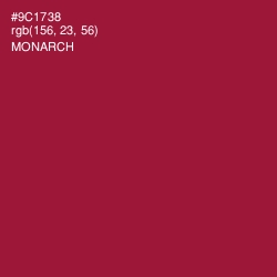 #9C1738 - Monarch Color Image