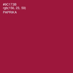 #9C173B - Paprika Color Image