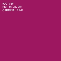 #9C175F - Cardinal Pink Color Image
