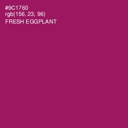 #9C1760 - Fresh Eggplant Color Image