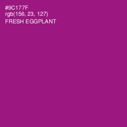 #9C177F - Fresh Eggplant Color Image