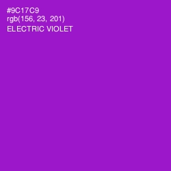 #9C17C9 - Electric Violet Color Image