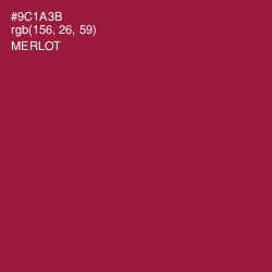 #9C1A3B - Merlot Color Image