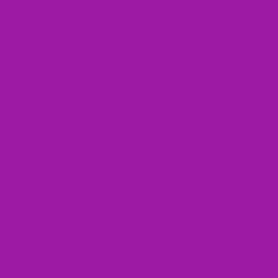 #9C1AA4 - Violet Eggplant Color Image