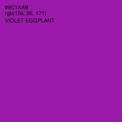 #9C1AAB - Violet Eggplant Color Image