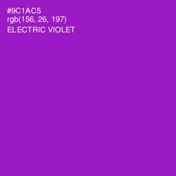 #9C1AC5 - Electric Violet Color Image