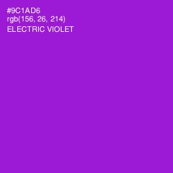 #9C1AD6 - Electric Violet Color Image