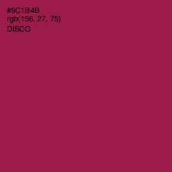 #9C1B4B - Disco Color Image