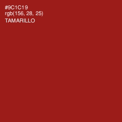 #9C1C19 - Tamarillo Color Image