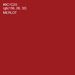 #9C1C20 - Merlot Color Image