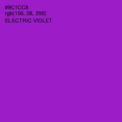 #9C1CC8 - Electric Violet Color Image