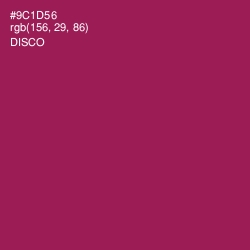 #9C1D56 - Disco Color Image