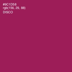 #9C1D58 - Disco Color Image