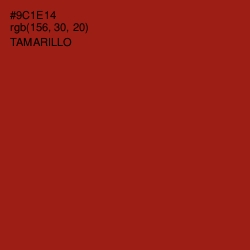 #9C1E14 - Tamarillo Color Image