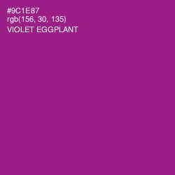 #9C1E87 - Violet Eggplant Color Image